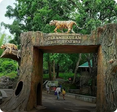 Nelliyampathy